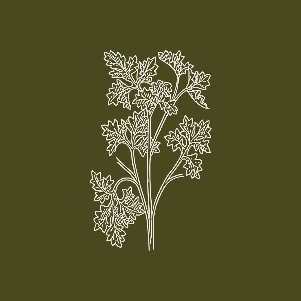 Lemony Kale & Radish Salad