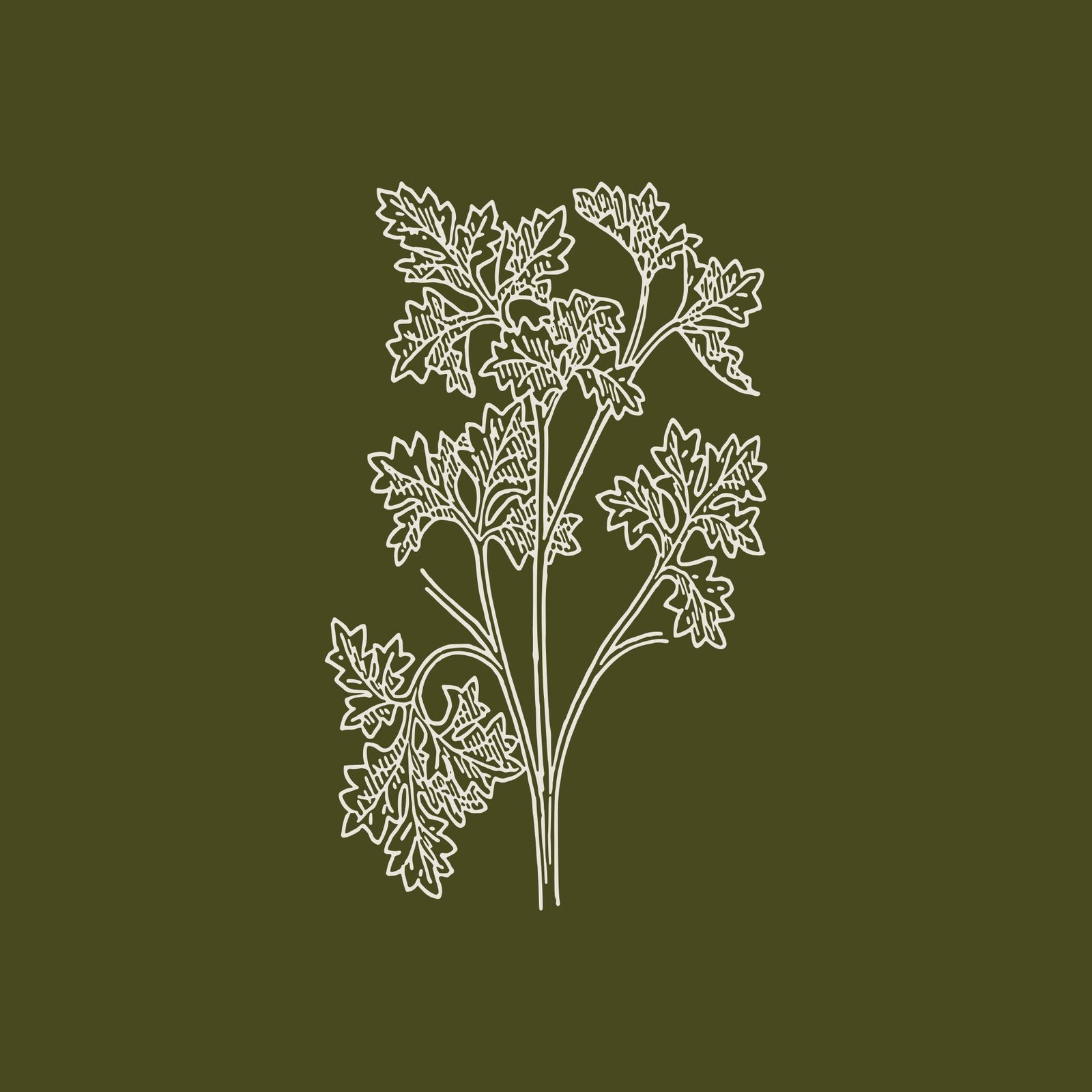 Heirloom Garlic Vinaigrette