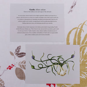 Botanical Note Cards
