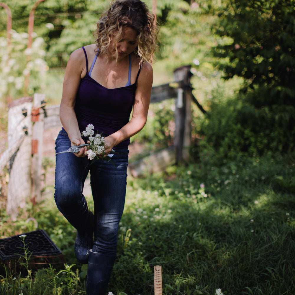 Introduction to Summer Foraging