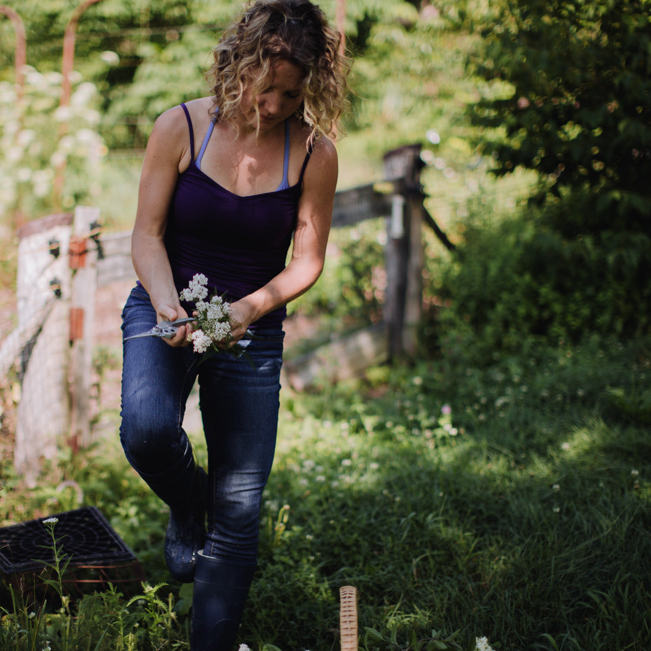 Introduction to Summer Foraging
