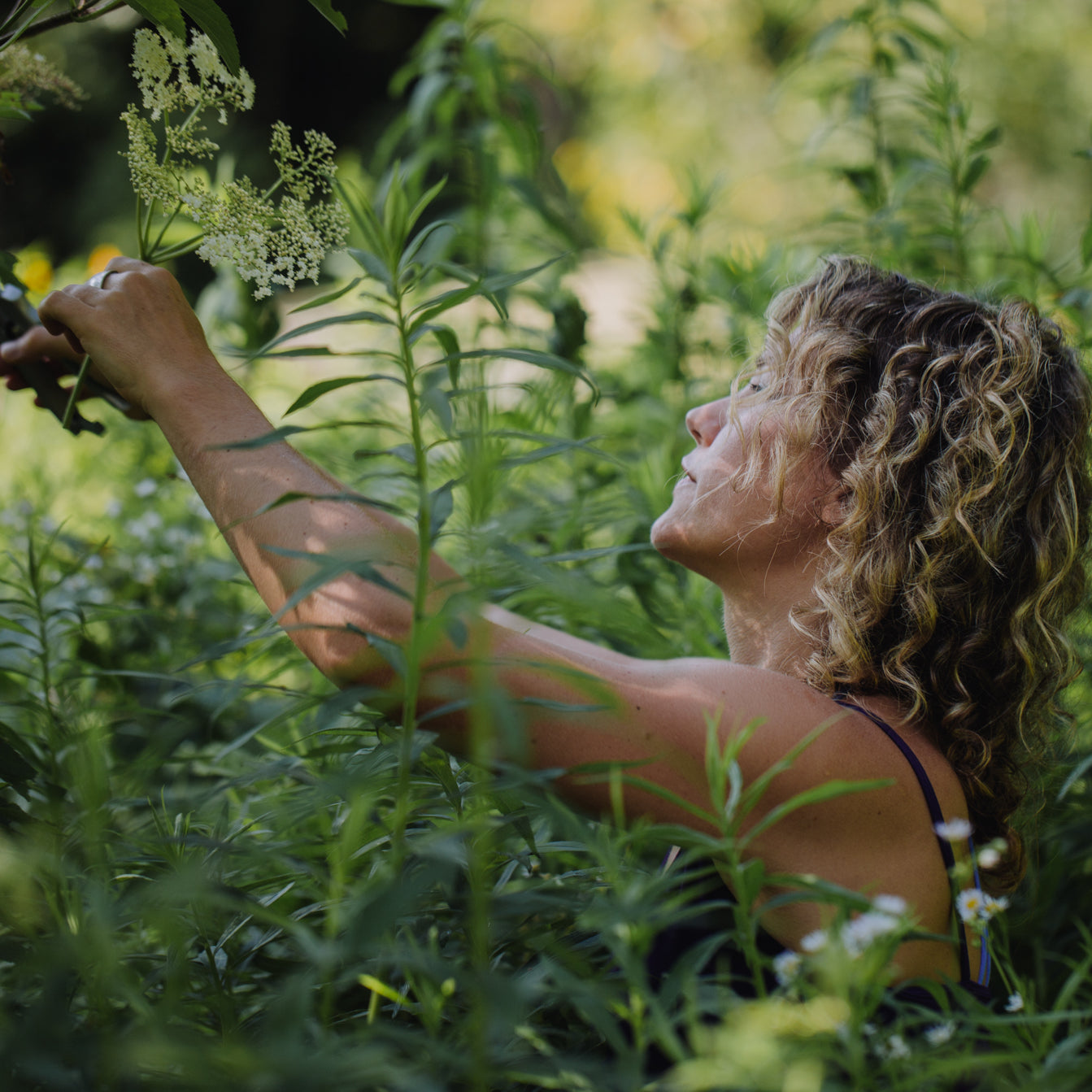 Virginia Public Media: Red Root & the Impact of Permaculture
