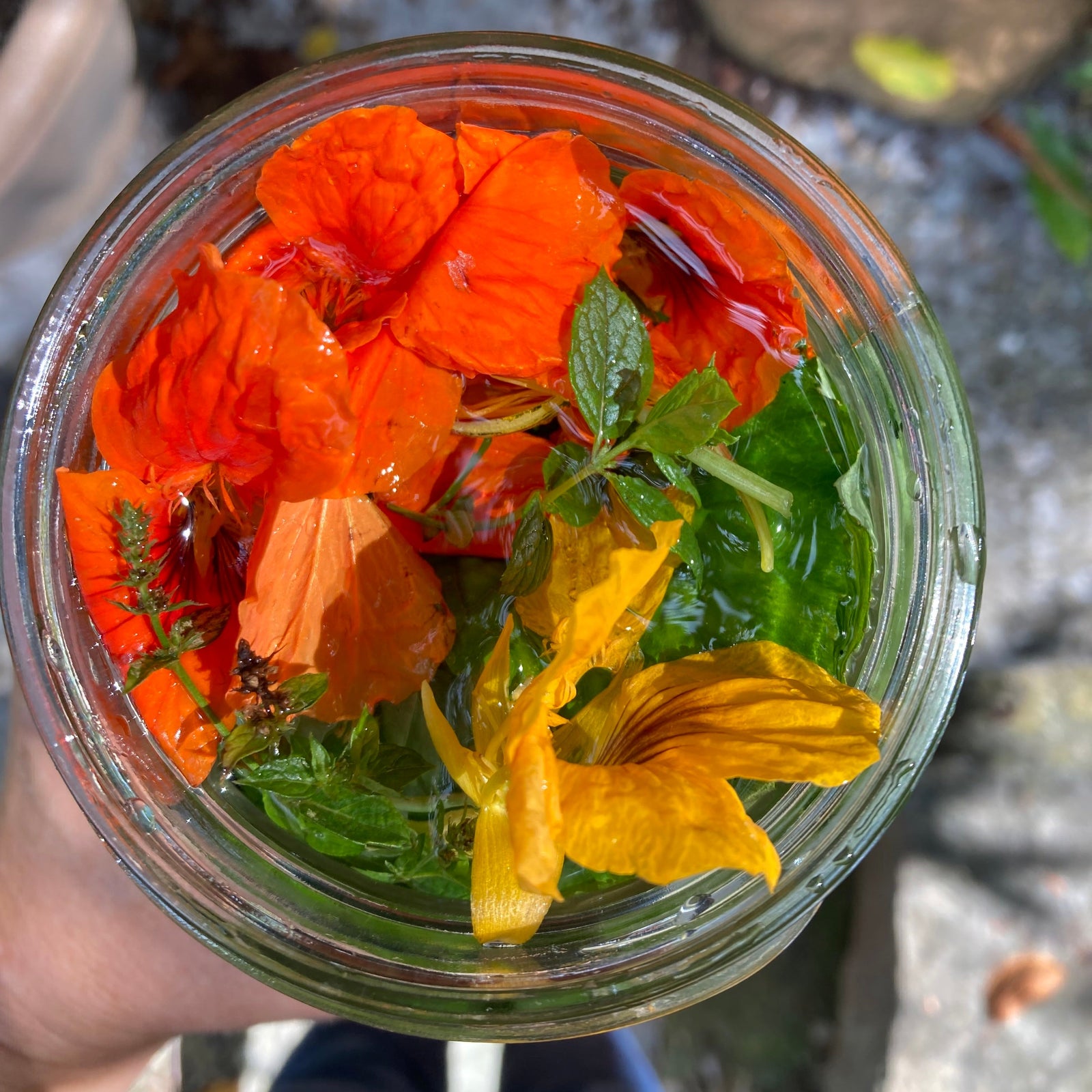 Herbal Sun Tea