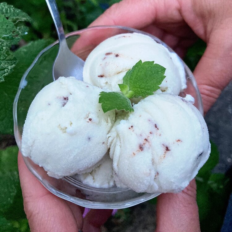 Nettle Mint Chocolate Chip Ice Cream