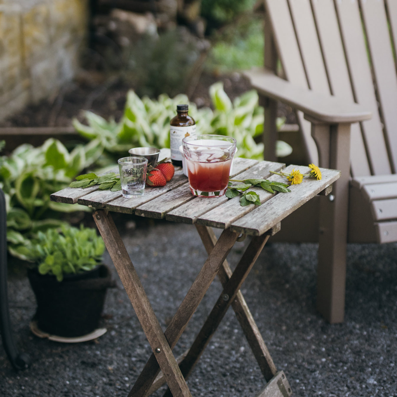Ginger-Spiked Rosy Hibiscus Tea