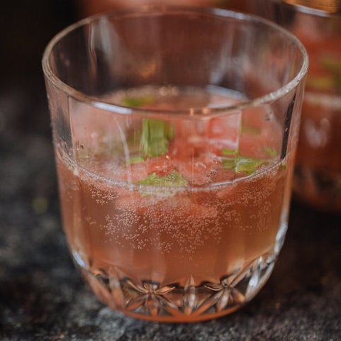 Watermelon Mint Spritzer