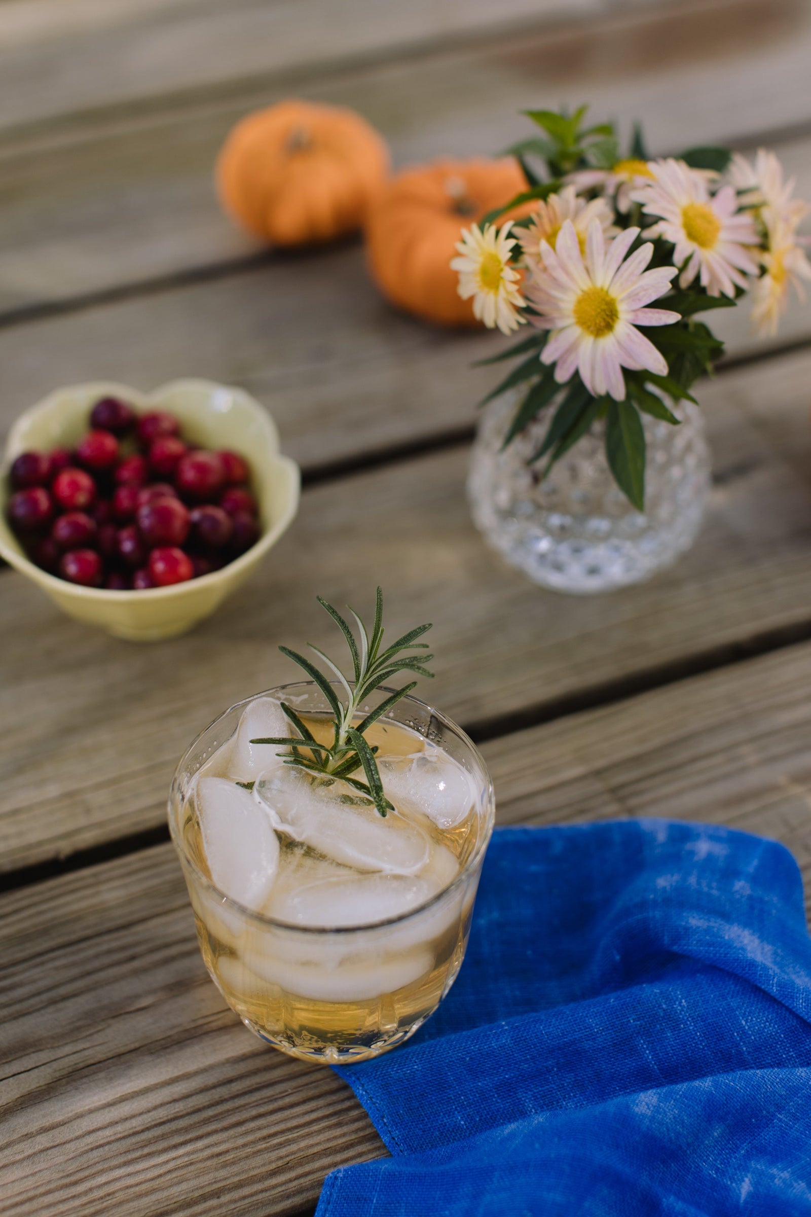Fall Favorites
