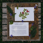 Botanical Note Cards