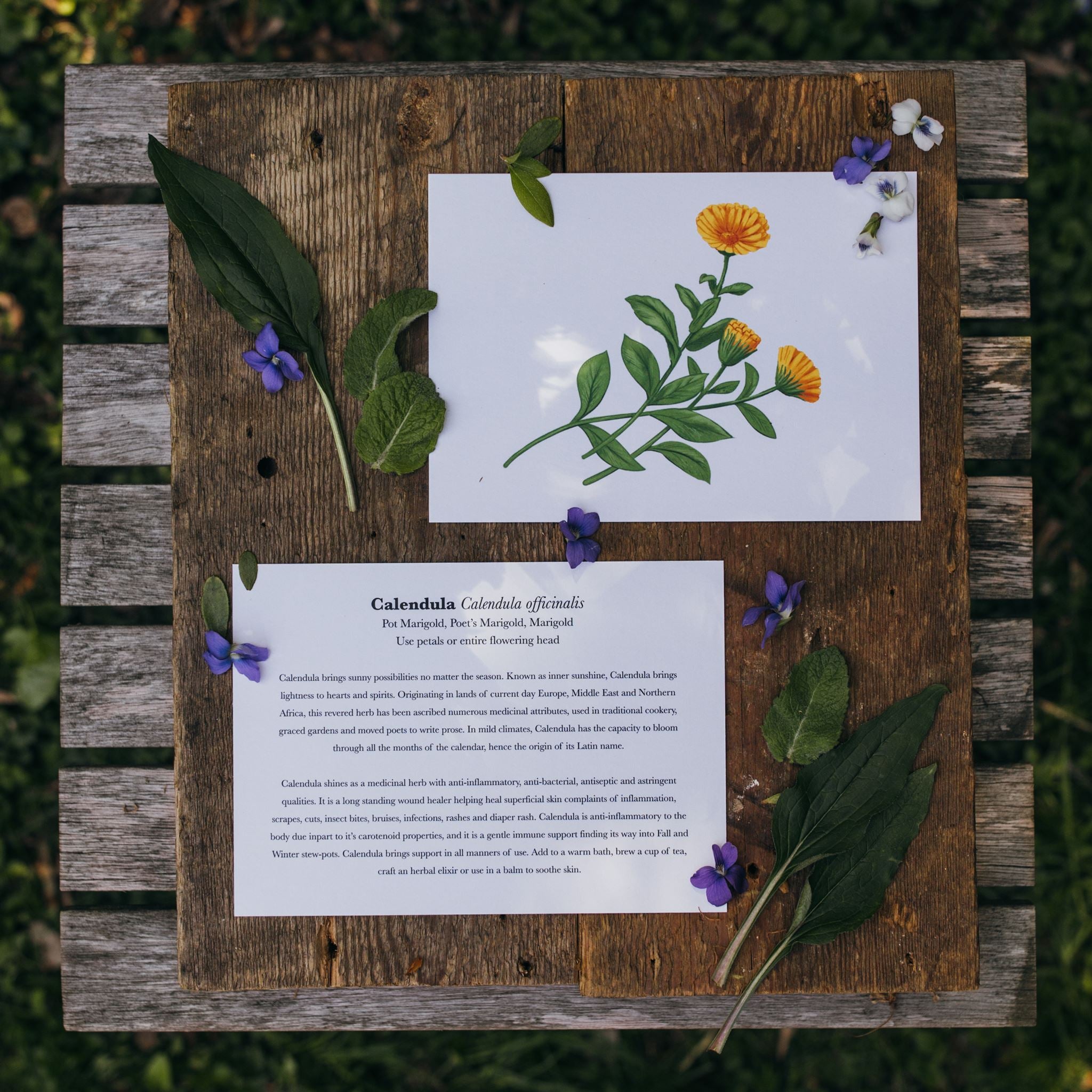 Wintertime Wellness Gift Set